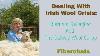 Blatnaid Gallagher Founder Of Galway Wool Fiberchats Episode 266