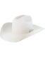 Resistol Men's Silverbelly 20x Tarrant Beaver Felt Cowboy Hat Rftant-724271