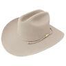 Stetson Cowboy Hat 6x Beaver Fur Silverbelly Carson With Free Hat Brush