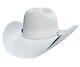 Stetson Men's Skyline 6x Silver Grey Felt Hat