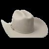 Twister 2x Wool Silver Belly Western Hat T75250277