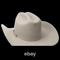 Twister 2X Wool Silver Belly Western Hat T75250277