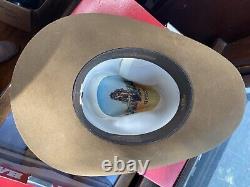 Vintage John B Stetson 3X Beaver Cowboy Hat Feather JBS Pin Sz. 7 withbox