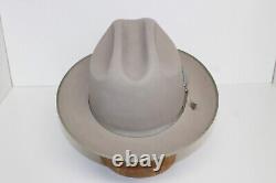 Vintage STETSON Long Oval Gray Beaver 50 Hat 7X Size 7? & Original Box