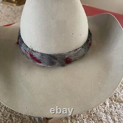 Vintage Stetson Cowboy Hat 5x Beaver Gray withFeather Band-Sz 7 In Original Box