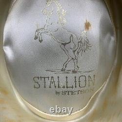 Vintage Stetson Stallion Black Hawk Cowboy Hat Western Rodeo Yellowstone