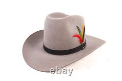Vtg STETSON 4X XXXX Beaver Cowboy Hat Gray Mens Size 6 7/8 With Box USA