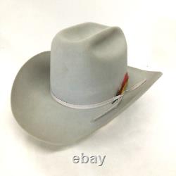 Vtg Stetson 7X Beaver Rancher Cowboy Western Hat Size 7 Silverbelly w Box