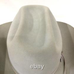 Vtg Stetson 7X Beaver Rancher Cowboy Western Hat Size 7 Silverbelly w Box